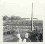 queenie arthur 1.jpg (8123 bytes)